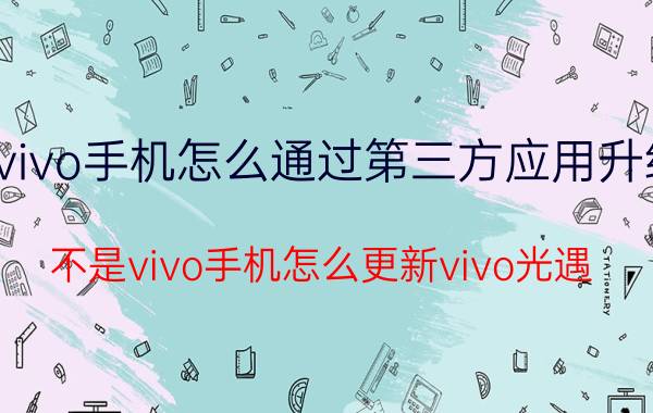 vivo手机怎么通过第三方应用升级 不是vivo手机怎么更新vivo光遇？